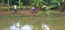 3 Mitglieder pflegen den neu angelegten Fischteich